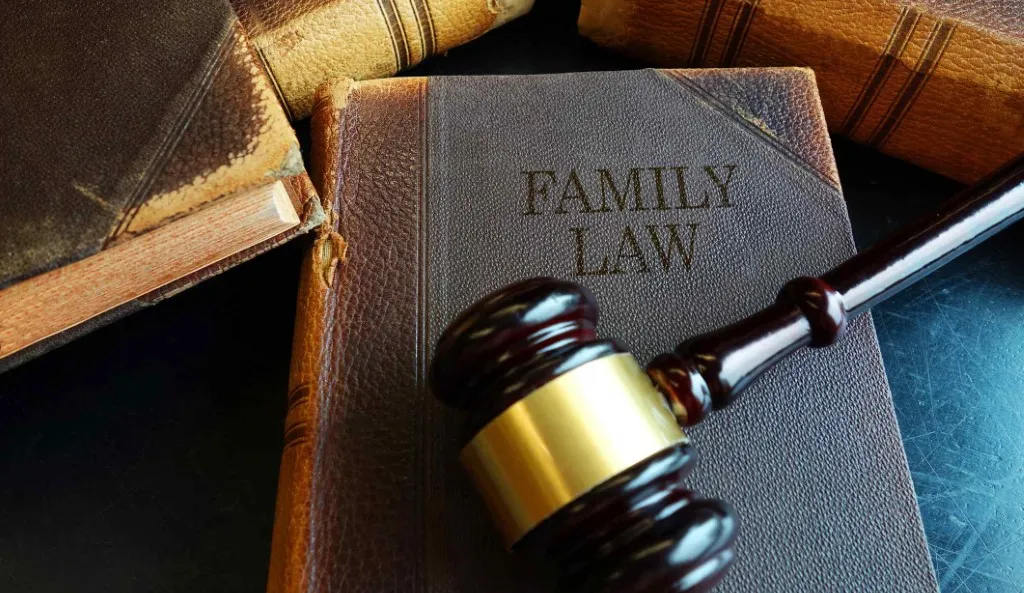 Family Court in NY: On Mend but Needs Work | Call (516) 334-4100
