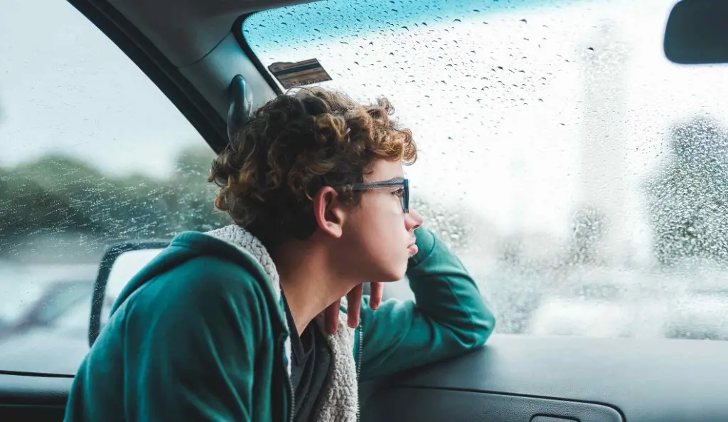 Recognizing & Dealing with PAS in New York | Call 516-334-4100