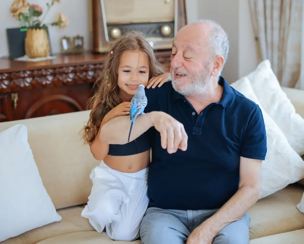 Can grandparents’ rights be terminated in New York?