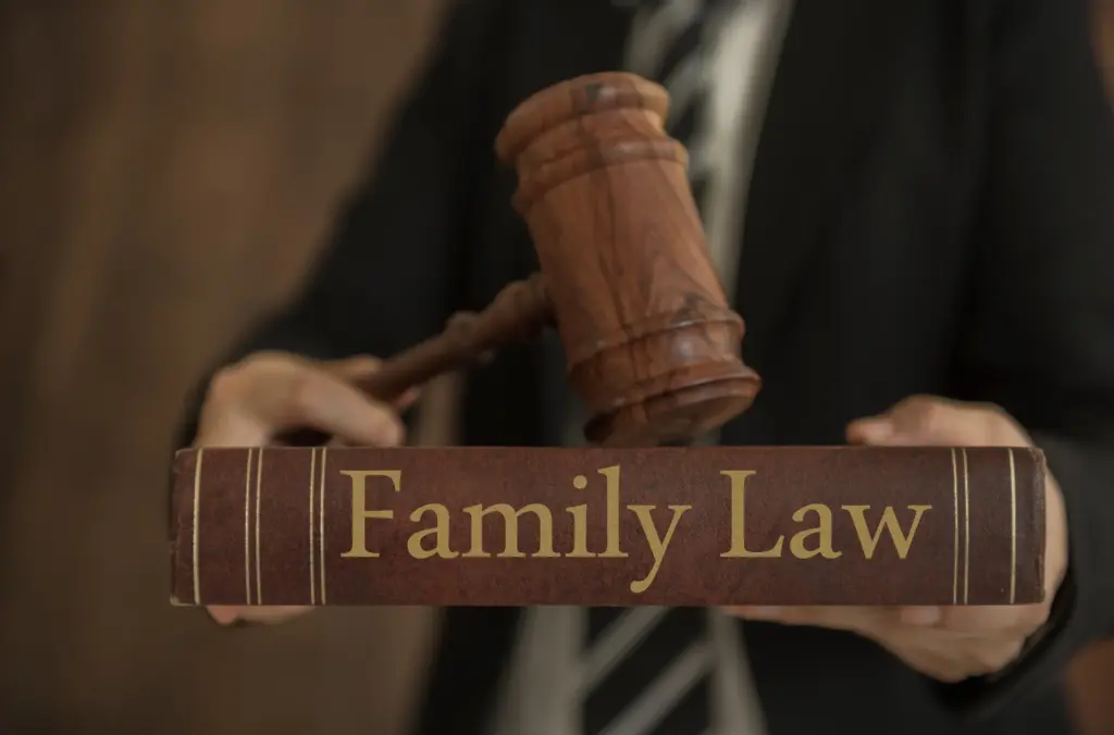Do I need a family law attorney for a custody case in Nassau County