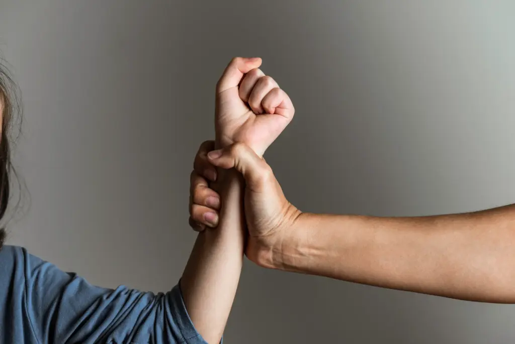 Should I seek legal assistance to pursue an Order of Protection in New York City, Nassau County, or Suffolk County?
